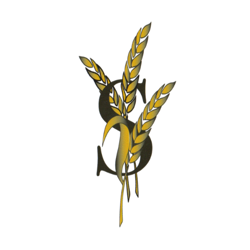 logo main